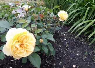 Продажа дома, 20 м2, Курган