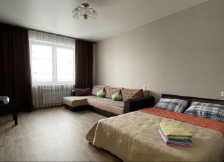 Сдача в аренду 1-комнатной квартиры, 42 м2, Новосибирск, улица Гоголя, 26, улица Гоголя