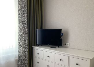 Сдаю в аренду квартиру студию, 30 м2, Пермь, улица Александра Турчевича, 6, ЖК Арсенал