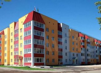 Продам 1-комнатную квартиру, 51 м2, село Новый Быт, Новая улица, 43