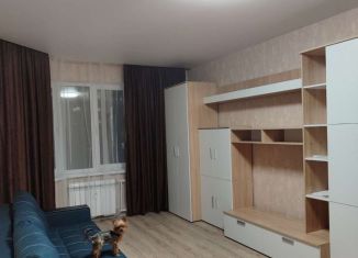 Однокомнатная квартира в аренду, 40 м2, посёлок Отрадное, Рубиновая улица, 12