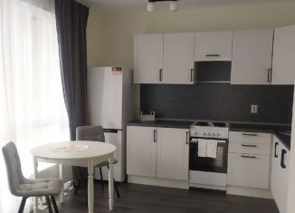 Сдается в аренду 3-комнатная квартира, 46.4 м2, поселок Бугры, Гаражный проезд, 27к2