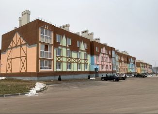Продается 1-комнатная квартира, 30.6 м2, Калуга, улица Владимира Козлова, 2, ЖК Видный