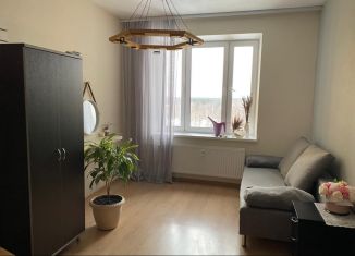 Квартира в аренду студия, 25 м2, деревня Новое Девяткино, Капральская улица, 15, ЖК Озёрный