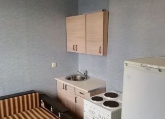 Квартира в аренду студия, 19 м2, Новосибирская область, улица Твардовского, 22