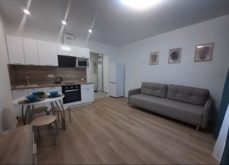 Сдам квартиру студию, 23.3 м2, Котельники, ЖК Белая Дача Парк, микрорайон Парковый, 1к6