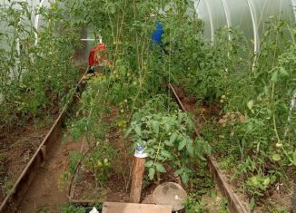 Продается дача, 20 м2, СНТ Заря, Цветочная улица