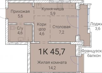 Продажа 1-ком. квартиры, 45.7 м2, Новосибирск, Овражная улица, 2А, Заельцовский район