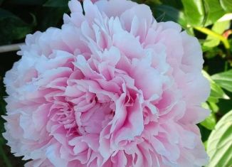 Продам дачу, 24 м2, Ангарск, 4-я улица