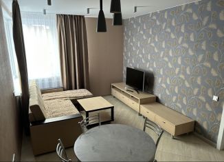 Сдам 2-комнатную квартиру, 47 м2, Нижний Новгород, Казанское шоссе, Нижегородский район