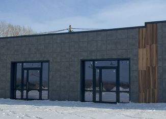 Торговая площадь на продажу, 39 м2, село Нагаево, Поэтическая улица, 76