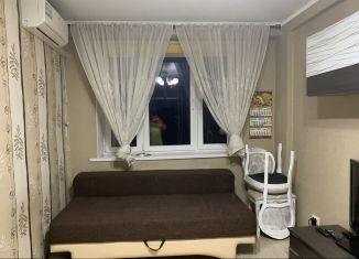 1-комнатная квартира в аренду, 32 м2, деревня Щемилово, улица Орлова