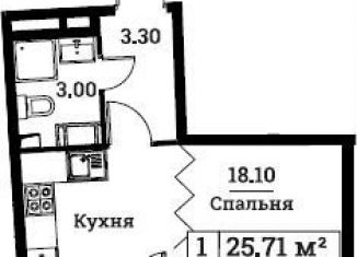 Продам квартиру студию, 26 м2, Мурино, проспект Авиаторов Балтики, 25, ЖК Авиатор