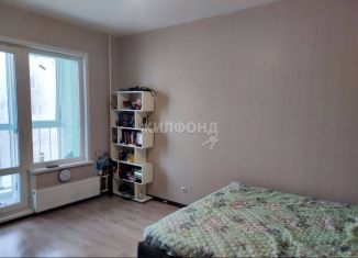 1-комнатная квартира на продажу, 30.9 м2, Новосибирская область, Степная улица, 262Б