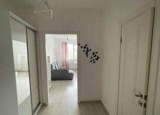 Квартира в аренду студия, 31 м2, Санкт-Петербург, Славянская улица, 3, Славянская улица