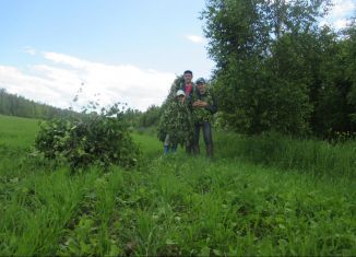 Земельный участок на продажу, 45 сот., деревня Бубново