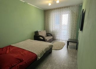 Сдается 1-комнатная квартира, 34 м2, Челябинская область, улица Энтузиастов, 29