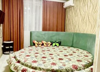2-комнатная квартира в аренду, 31 м2, Новосибирск, метро Площадь Маркса, улица Забалуева, 98