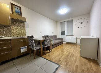 Квартира в аренду студия, 28 м2, Ленинградская область, улица Шувалова, 48