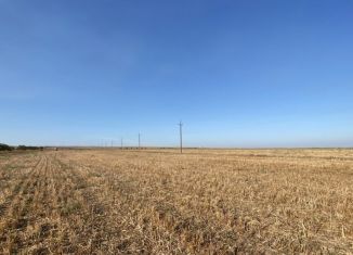 Продается земельный участок, 340 сот., село Окунёвка, улица Крупской