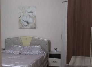 2-комнатная квартира в аренду, 60 м2, станица Ессентукская, улица Шести Коммунаров, 99Д