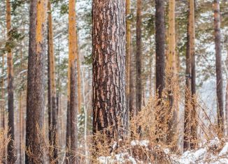 Продажа участка, 6 сот., ДНТ Позитив, Гранатовая улица