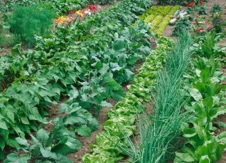 Земельный участок на продажу, 4 сот., Туймазы, улица Чапаева