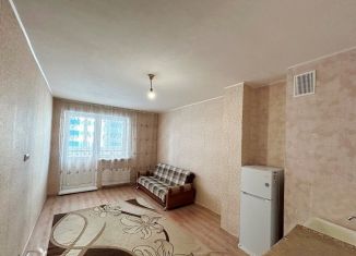 Квартира на продажу студия, 24.9 м2, село Михайловка, Новоуфимская улица, 15