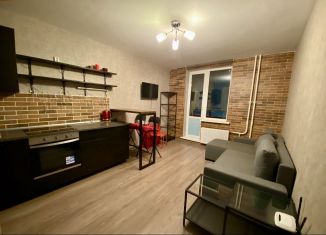Сдам в аренду квартиру студию, 22 м2, Мурино, проспект Авиаторов Балтики, 17, ЖК Охтинская Дуга
