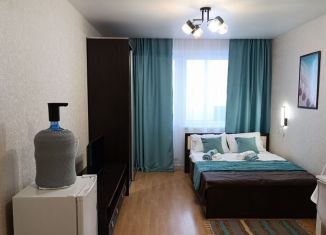 Сдаю в аренду квартиру студию, 27 м2, Киров, улица Романа Ердякова, 7к1