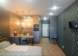Продажа квартиры студии, 24.1 м2, Владимир, Северная улица, 2А