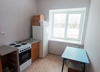 Продается 1-комнатная квартира, 25.4 м2, посёлок городского типа Петра Дубрава, улица Коммунаров