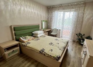 Аренда 3-комнатной квартиры, 60 м2, Благовещенск, улица Фрунзе, 91