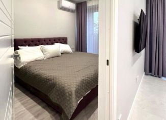 Продаю 2-комнатную квартиру, 45 м2, Сочи, микрорайон Яна Фабрициуса, улица Яна Фабрициуса, 2/23Мк1