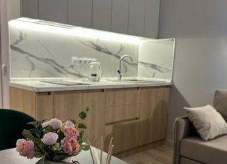 Сдаю в аренду квартиру студию, 20 м2, Краснодар, улица имени Дзержинского, 110Ак1, микрорайон Горхутор