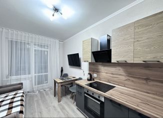 Сдается 1-ком. квартира, 34 м2, посёлок Парголово, Брюлловская улица, 3