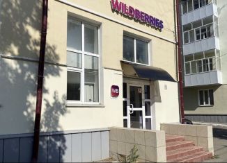 Продажа торговой площади, 250 м2, Саранск, улица Васенко, 1