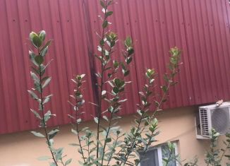 Сдам дом, 36 м2, Ялта, улица Кирова