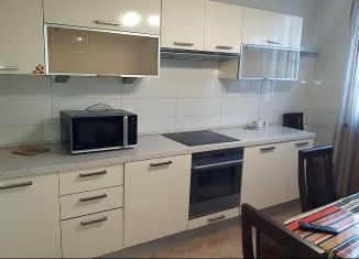 Сдаю в аренду 2-комнатную квартиру, 56 м2, Ленинградская область, улица Федора Афанасьева, 14