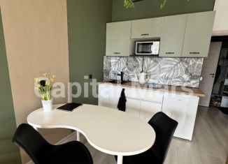 Аренда 1-комнатной квартиры, 25 м2, Санкт-Петербург, Торфяная дорога, 17к4