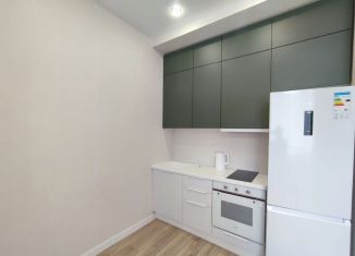 Продаю квартиру студию, 25 м2, село Краевско-Армянское, ЖК Измайловский Парк, Измайловская улица, 20А