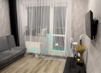 Сдаю квартиру студию, 25 м2, деревня Куюки, Молодёжная улица, 29