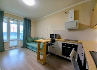 Сдается в аренду 2-комнатная квартира, 50 м2, Санкт-Петербург, улица Грибалёвой, 9к1