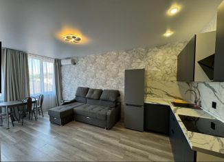 Сдается в аренду 3-ком. квартира, 49 м2, Сочи, Виноградная улица, 121/6