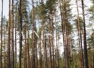 Продажа земельного участка, 18 сот., деревня Барвиха