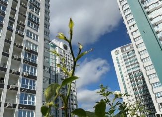 Продается 2-комнатная квартира, 55.9 м2, Туапсе, улица Портовиков, 39/1, ЖК Форт Адмирал