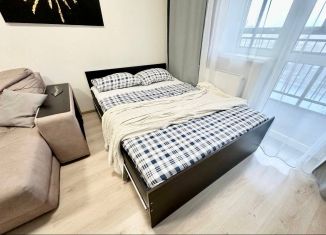 Сдается в аренду квартира студия, 31.5 м2, Екатеринбург, улица Чапаева, 79