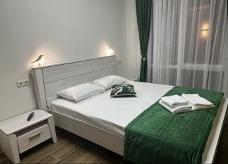 Сдам дом, 40 м2, Сочи, микрорайон Аше, улица Репина, 3/3