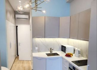 Сдам квартиру студию, 25 м2, Сочи, Дагомысский переулок, 18, микрорайон Ареда