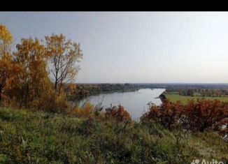 Продаю дом, 35 м2, деревня Шипово, Овражная улица, 3